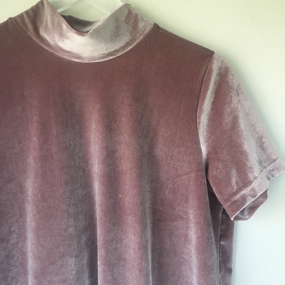 MADEWELL Blush Pink Velvet Mockneck Dress M